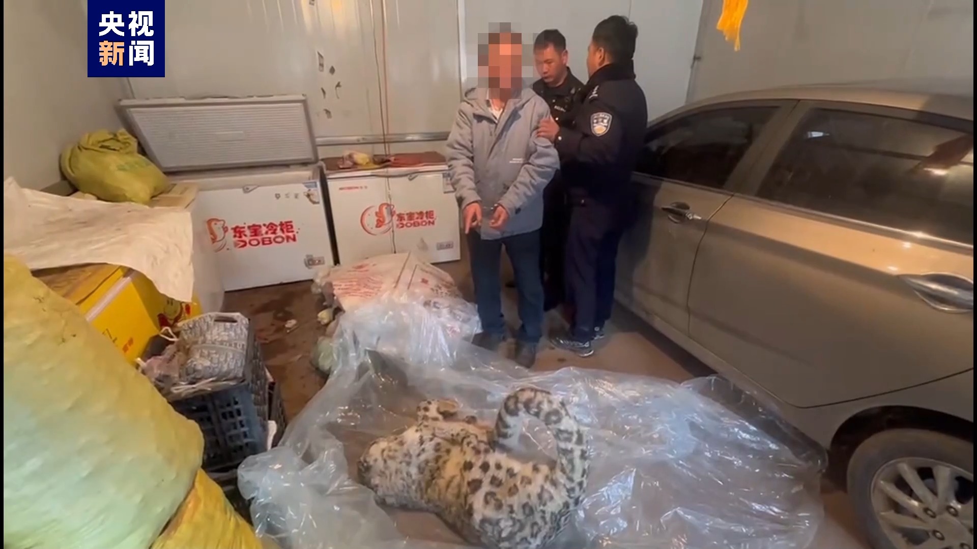 猎杀雪豹还得了！青海同德警方抓获3人
